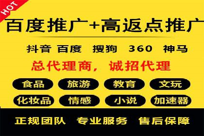 SEM公司案例分享：优化效果与转化率提升策略